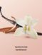Гель для душа Vanilla Orchid Sandalwood Victoria's Secret