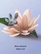 Гель для душа Blue Jasmine Water Lily Victoria's Secret