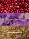 Спрей-мист для тела Valentine's Day Sweet Sugared Violet Victoria's Secret