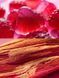 Спрей-мист Berry Burst Candy Victoria&rsquo;s Secret