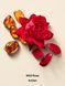 Гель для душу Wild Rose Amber Victoria's Secret