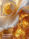 Спрей-мист с шиммером Seashell Shimmer Victoria's Secret
