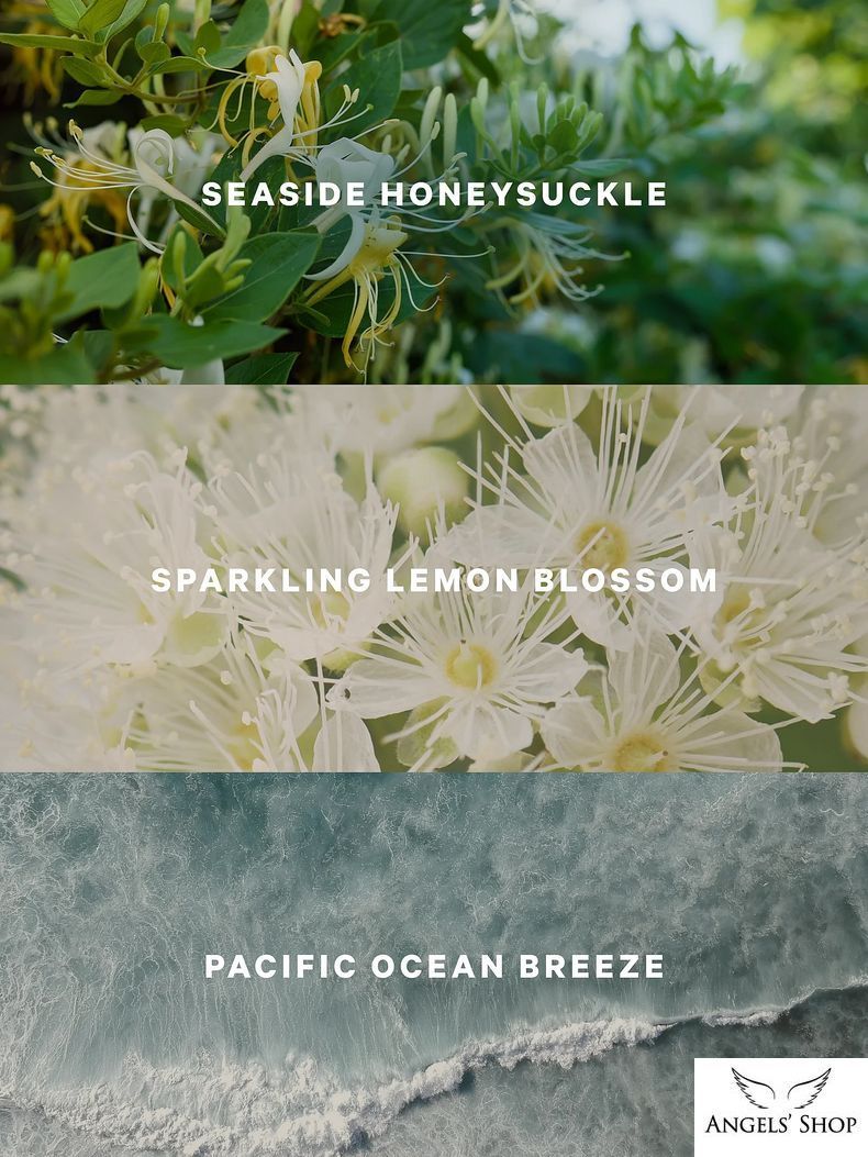 Увлажняющий лосьон для тела Coastal Blooms