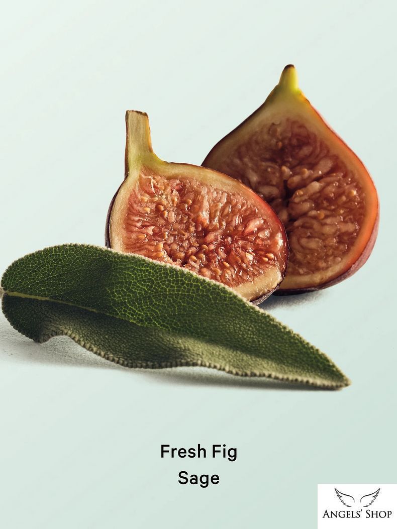 Зволожуючий лосьйон для тіла Fresh Fig Sage