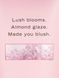 Увлажняющий лосьон Velvet Petals Lotion Victoria's Secret