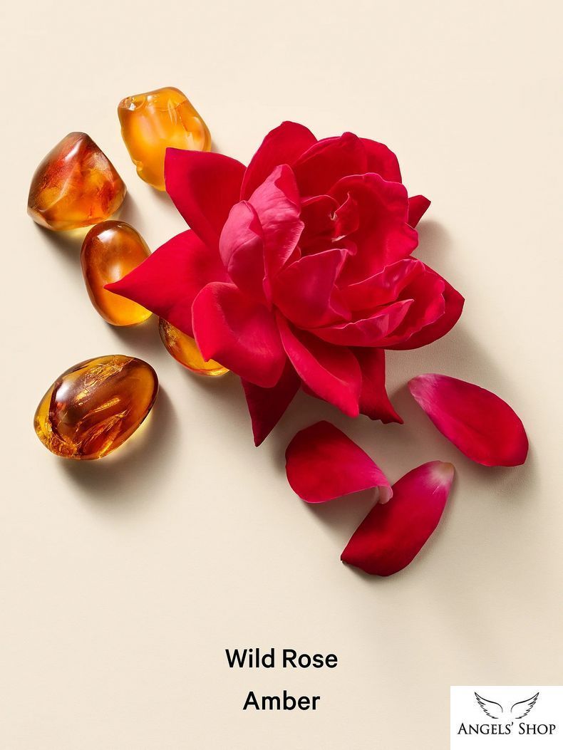 Увлажняющий лосьон для тела Wild Rose Amber