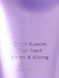 Увлажняющий лосьон Love Spell Lotion Victoria's Secret