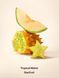 Скраб для кожи головы и тела Tropical Melon Starfruit Victoria's Secret