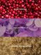 Увлажняющий лосьон для тела Sweet Sugared Violet