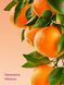 Увлажняющий лосьон для тела Clementine Hibiscus